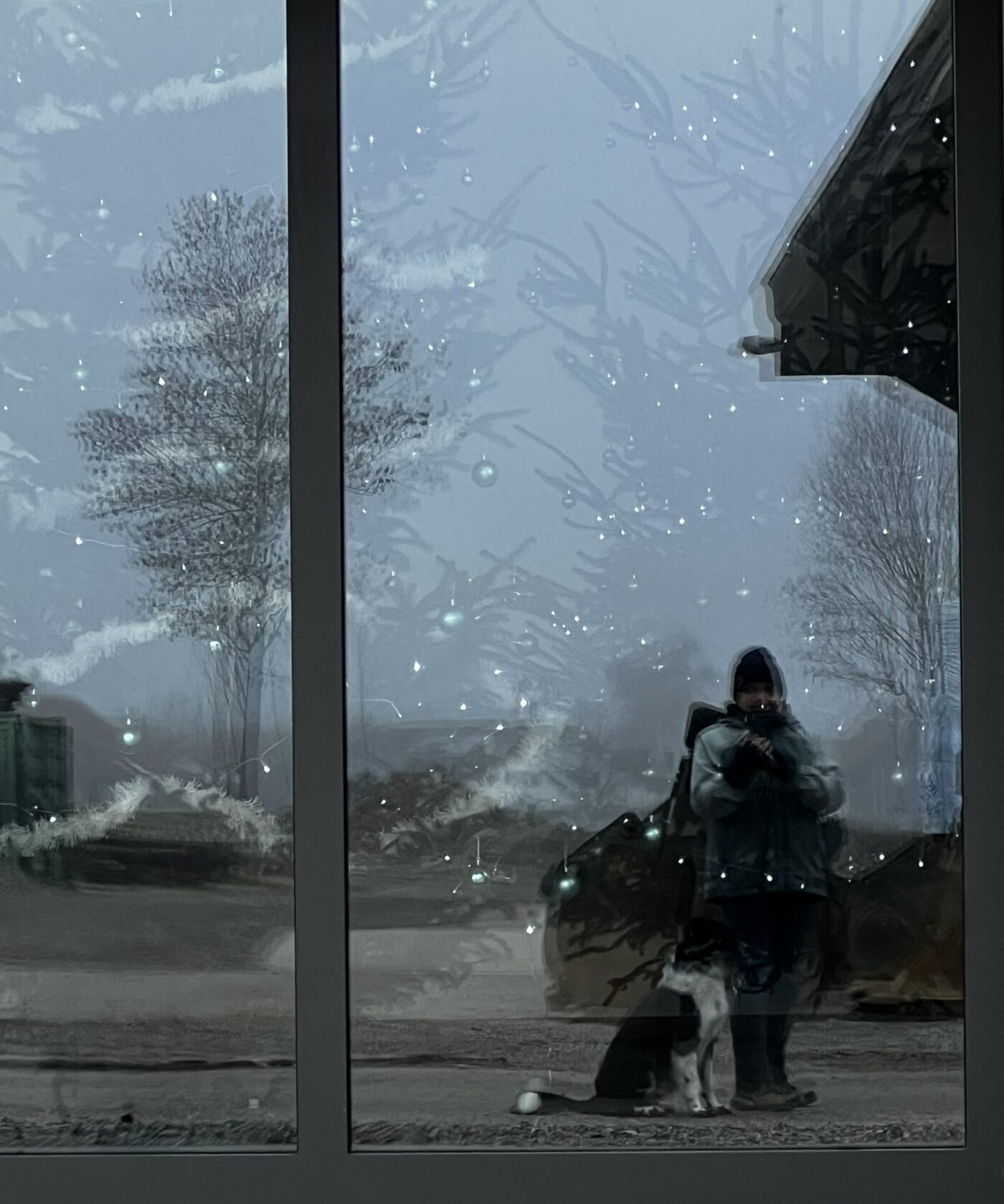 Fensterscheibe mit Eisblumen, darin spiegeln sich eine Person und ein Hund im Winter