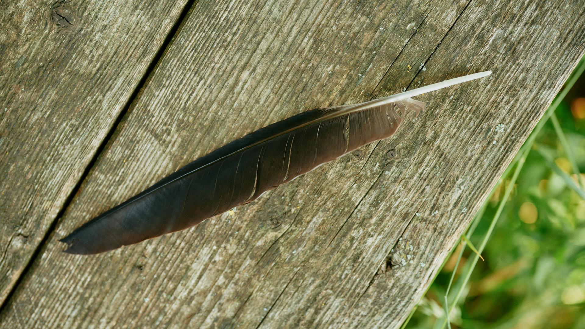 barrenscheen-de-mirbach-4000x3000-4